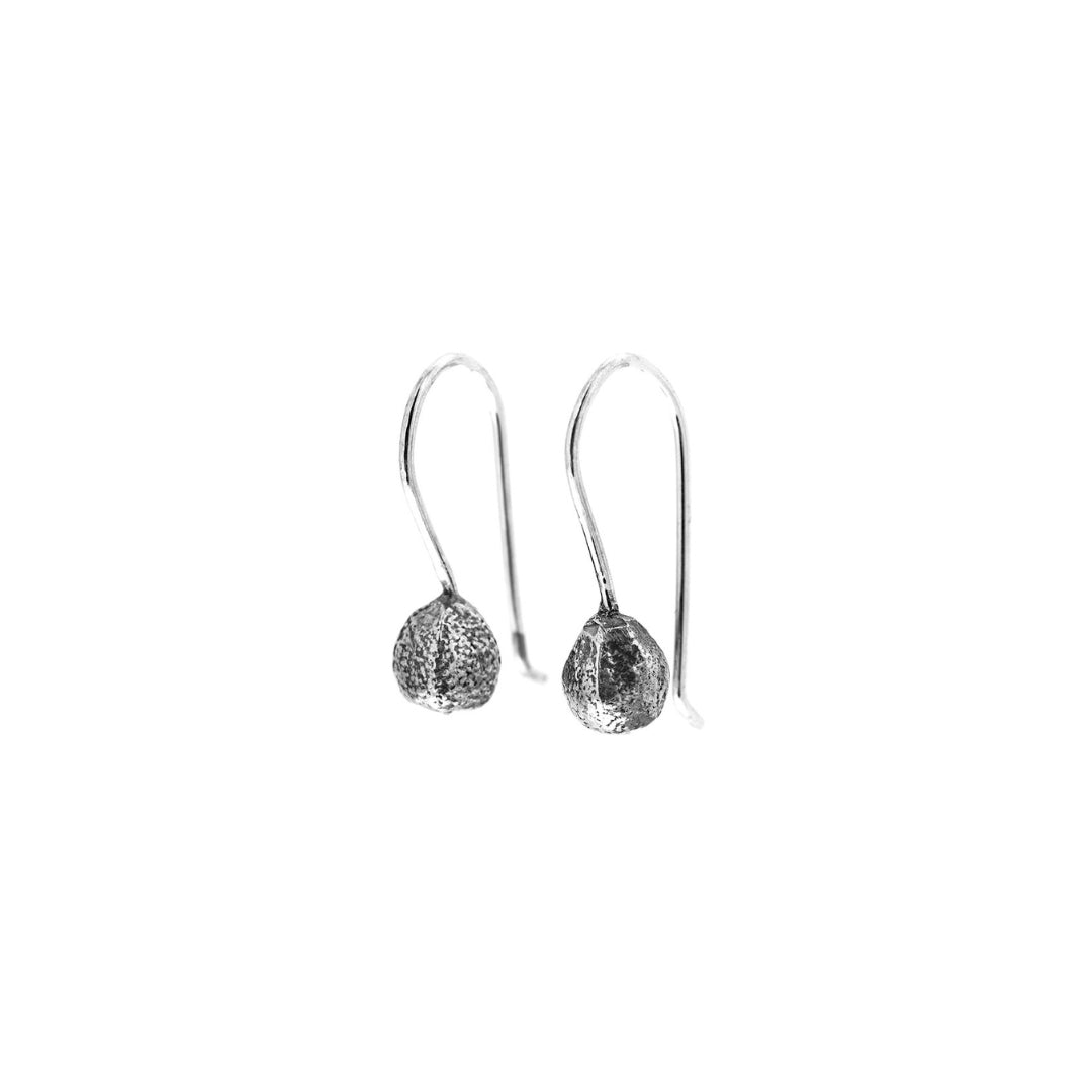 Tilia frö örhängen i 925 sterling silver med små fröformade kulor på krok