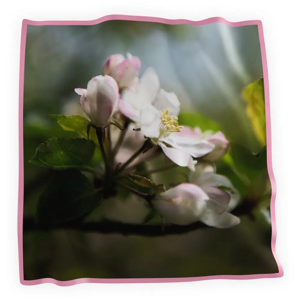 Äppelblom silk scarf close up of apple blossom motif photographed by Tiina Tahvanainen with pink edge