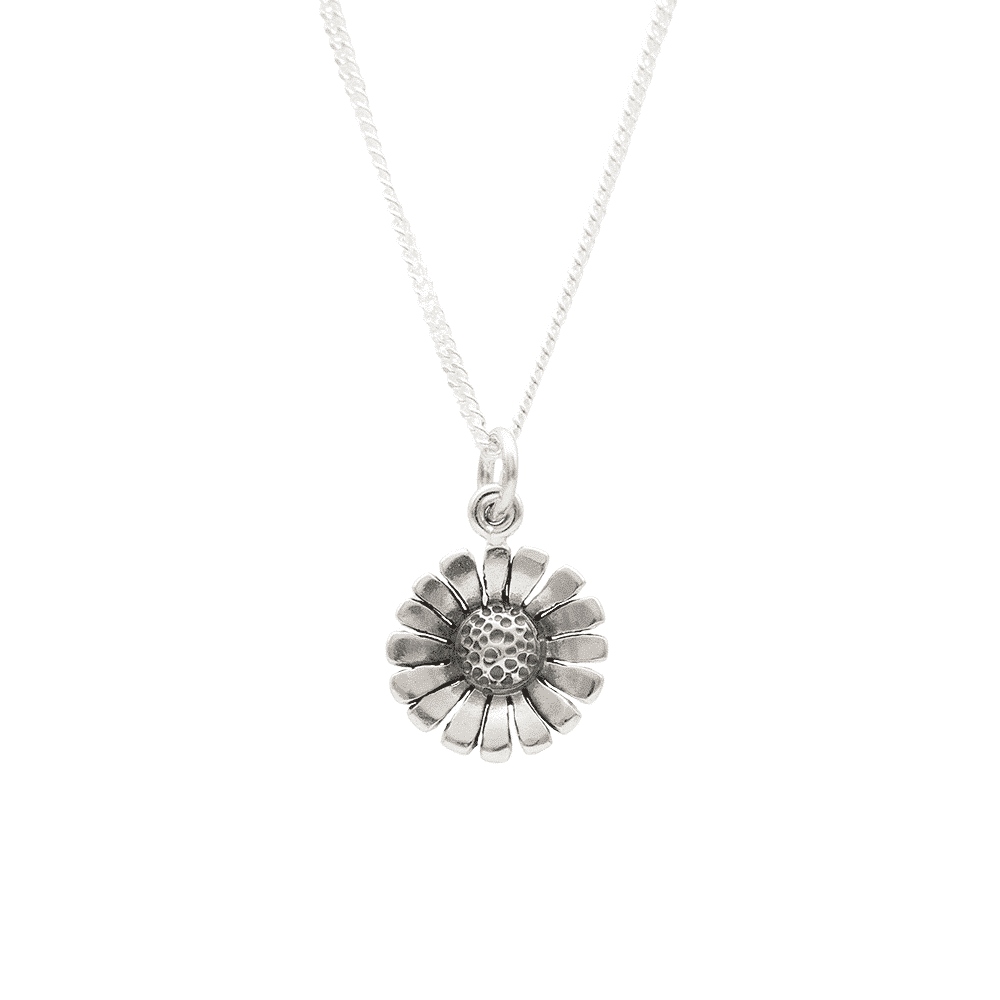 Halsband med liten prästkrage i silver hängande från tunn kedja