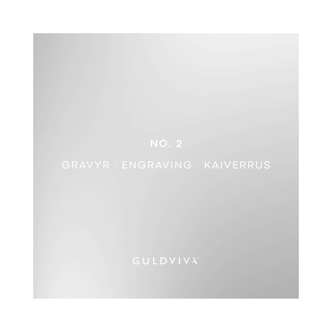 GRAVYR Alt. 2