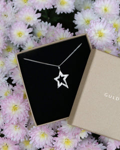 Silver STAR halsband visas i en svart presentbox mot bakgrund av rosa blommor.