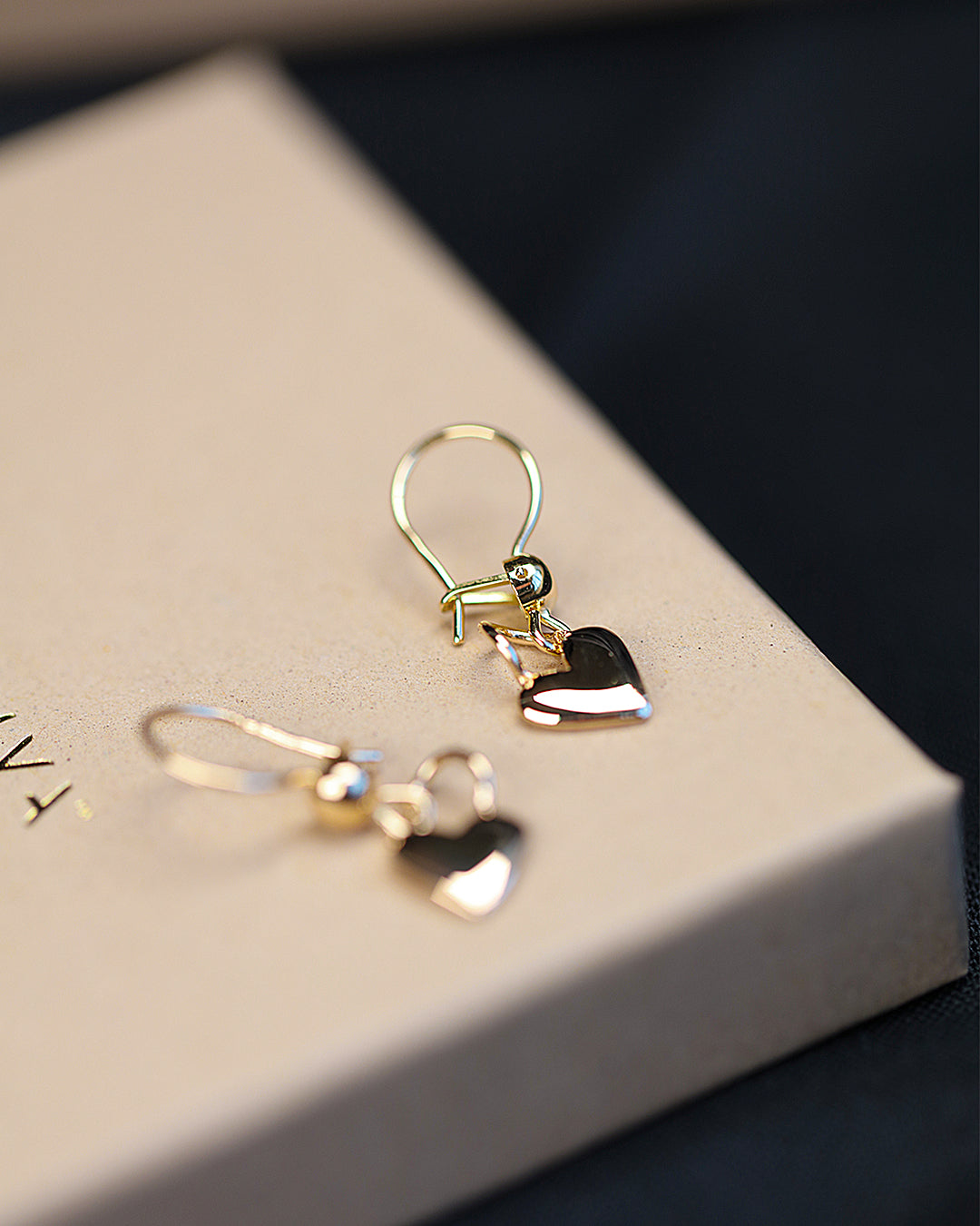 ÄLSKA (Love) 18K hook earrings
