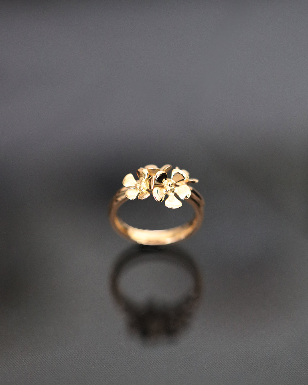 ÄPPELBLOM 18K ring
