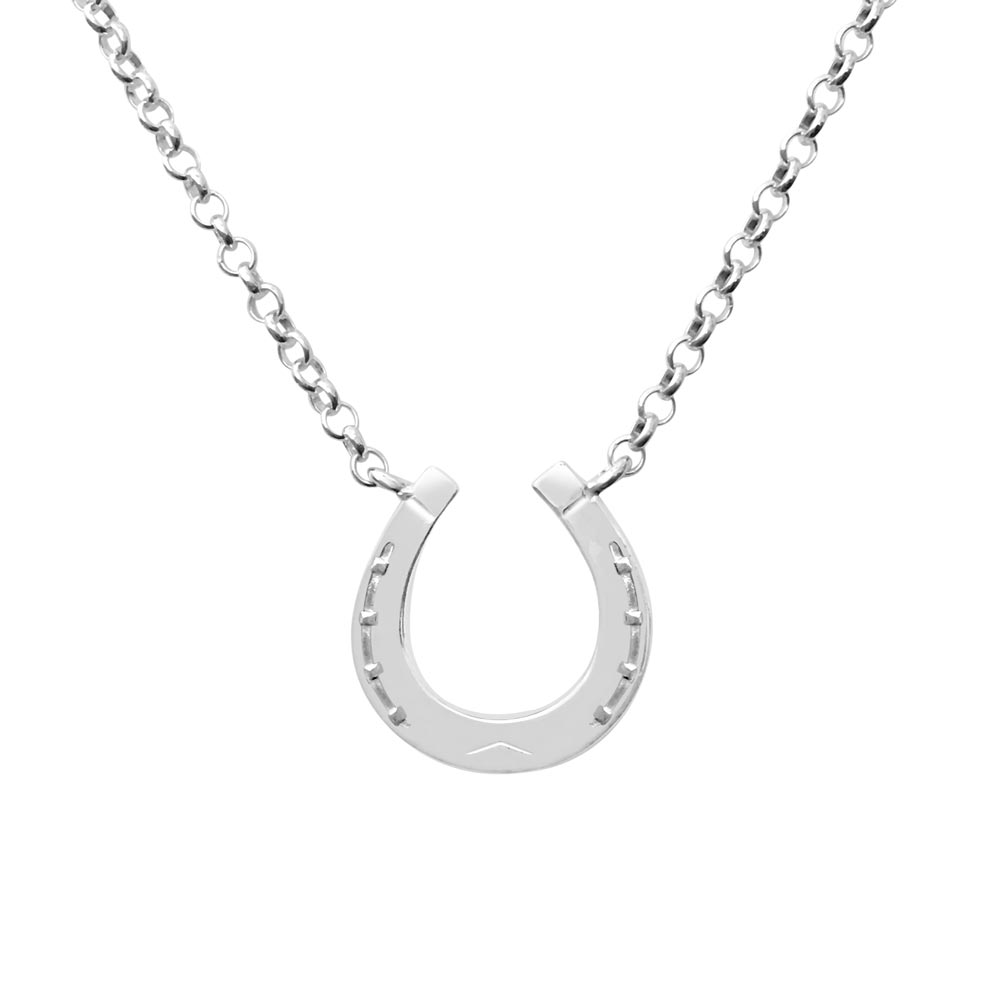 Silver halsband med öppen hästskoform på en 42 cm kedja.