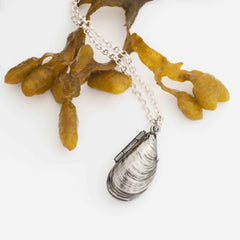 Openable silver shell shaped medaljong pendant on a chain ready for engraving