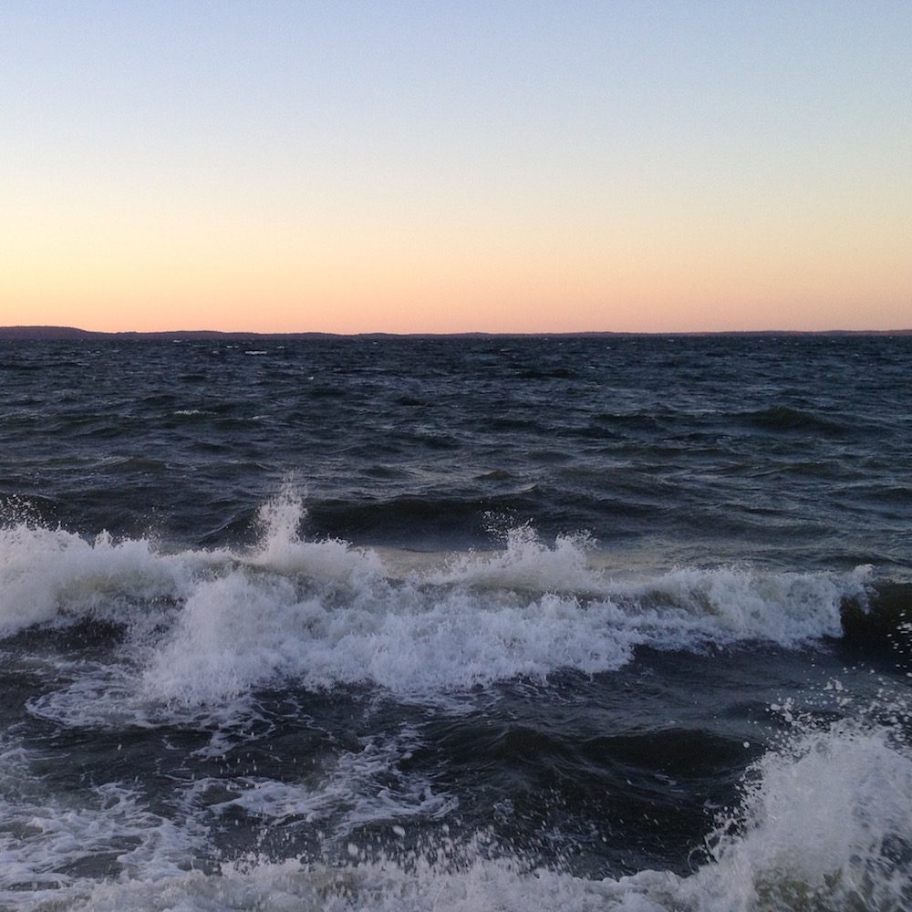 HAVET örhängen på kulstift - Guldviva Jewellery